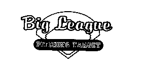 BIG LEAGUE PITCHING TARGET