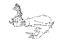 Image Trademark