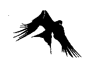 BIRD DESIGN