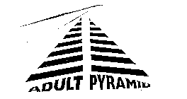 ADULT PYRAMID