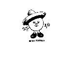 SENOR TORTILLA