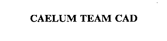 CAELUM TEAM CAD