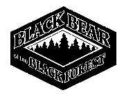 BLACK BEAR OF THE BLACK FOREST