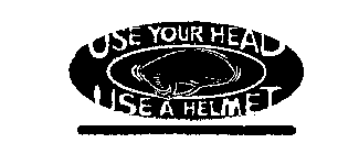 USE YOUR HEAD USE A HELMET