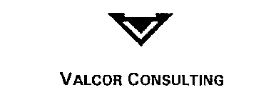 VALCOR CONSULTING