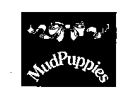 MUDPUPPIES