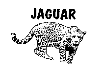 JAGUAR