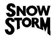 SNOW STORM