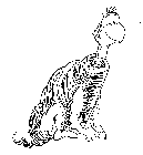 Image Trademark
