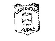 LIGNOSTONE KURAS