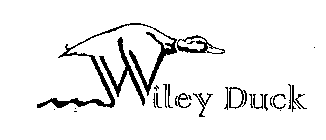 WILEY DUCK