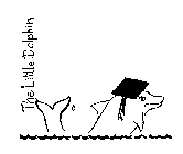 THE LITTLE DOLPHIN