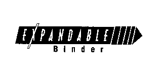 EXPANDABLE BINDER