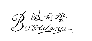 BOSIDENG