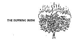 THE BURNING BUSH