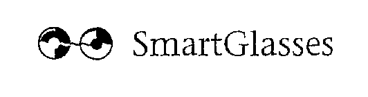 SMART GLASSES