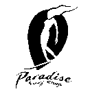 PARADISE SURF SHOP