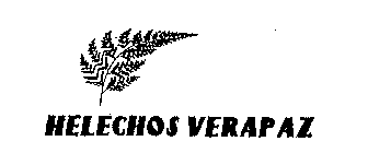 HELECHOS VERAPAZ