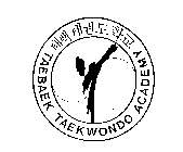 TAEBAEK TAEKWONDO ACADEMY