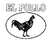 EL POLLO