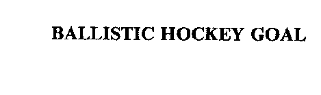 BALLISTIC HOCKEY GOAL