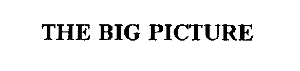 THE BIG PICTURE