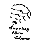 SOARING THRU SILENCE