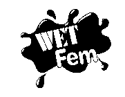 WET FEM