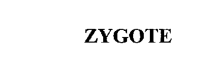 ZYGOTE