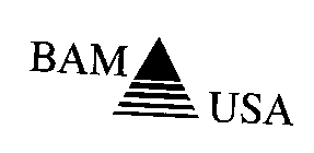 BAM USA