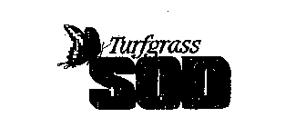 TURFGRASS SOD