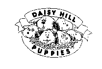 DAISY HILL PUPPIES