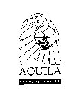 AQUILA MINING SYSTEMS LTD.