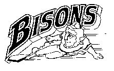 BISONS