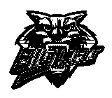 BIG CAT