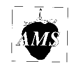 AMS