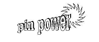 PIN POWER
