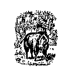 Image Trademark