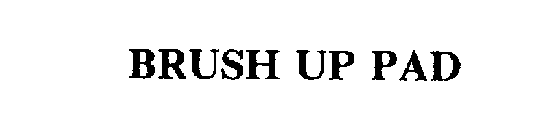 BRUSH UP PAD