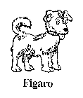 FIGARO