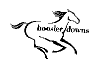 HOOSIER DOWNS