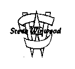 STEVE WINWOOD SW