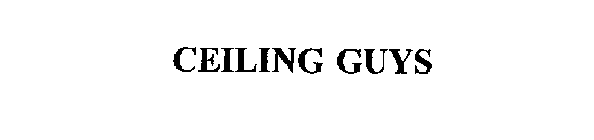 CEILING GUYS