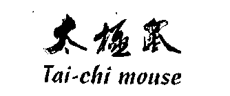 TAI-CHI MOUSE