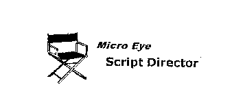 MICRO EYE SCRIPT DIRECTOR