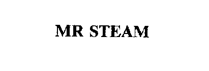 MR STEAM