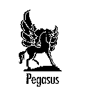 PEGASUS