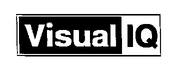 VISUAL IQ