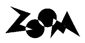 ZOOM