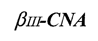 BIII- CNA